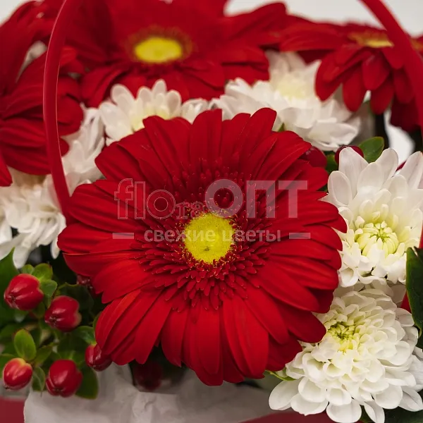 Композиция № 175 красная с герберами  — фото 2