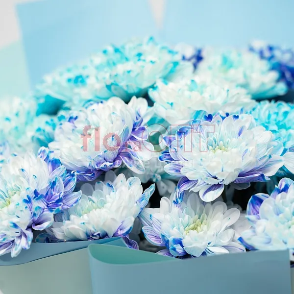 Букет № 500 с крашеной хризантемой  — фото 4