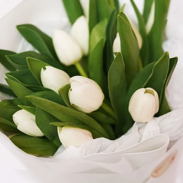 Букет № 557 из 15 тюльпанов селект  — фото 3