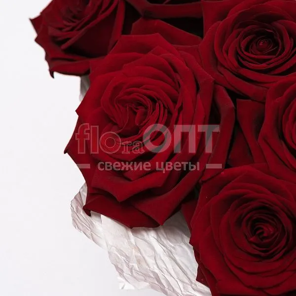 Букет № 444 с красными розами и конфетами Raffaello — фото 4