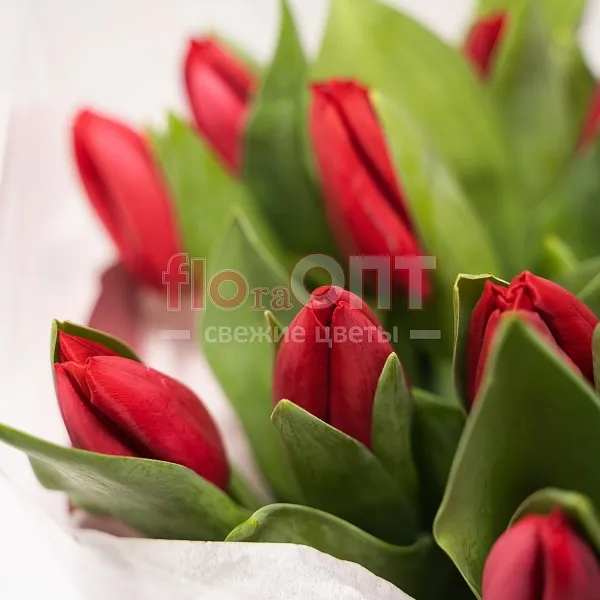 Букет № 489 с красными тюльпанами  — фото 4