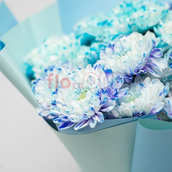 Букет № 500 с крашеной хризантемой  — фото 3