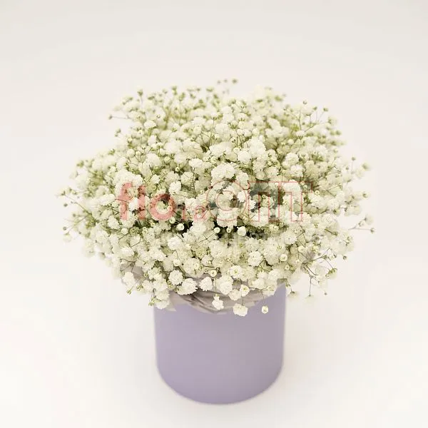 Композиция № 220 в коробке с гипсофилой  — фото 3