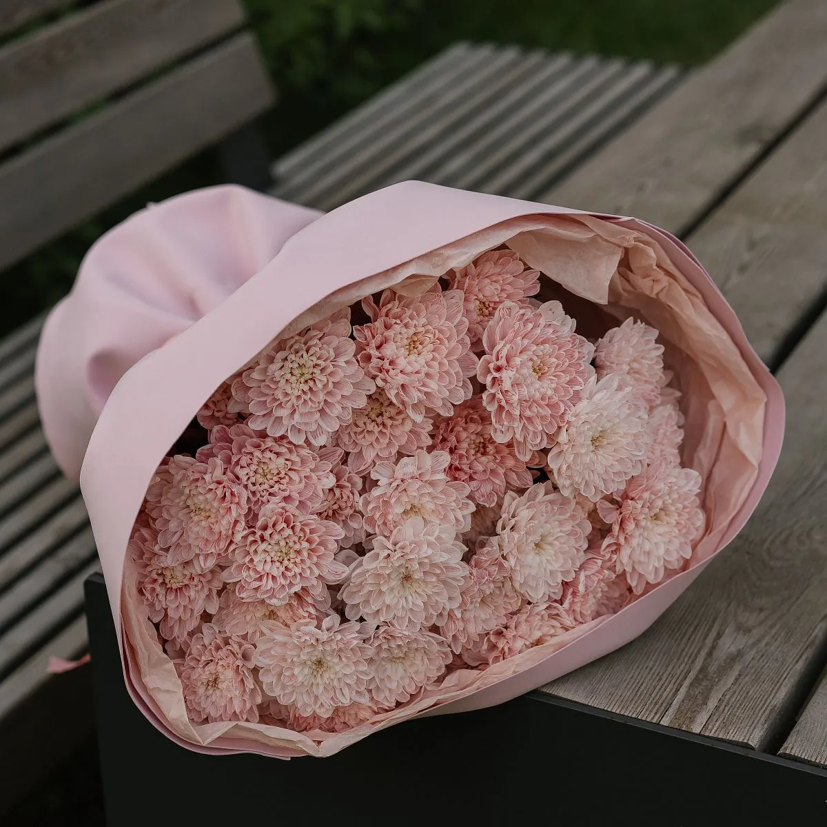 Букет Зефирка №15 из розовых крашеных хризантем — фото 2