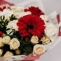 Букет Сборный №14 с красными герберами и белыми диантусами  — фото 1